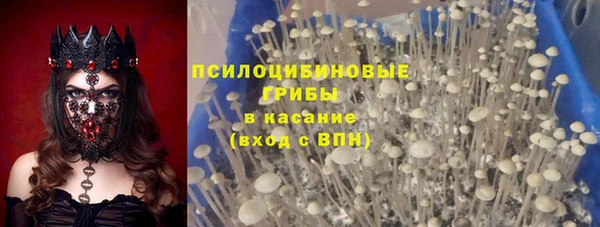молекула духа Армянск