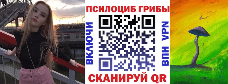 Галлюциногенные грибы Cubensis  продажа наркотиков  Советская Гавань 